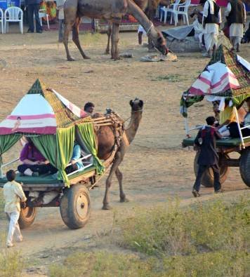 Ajmer & Pushkar Same Day Tour from Jaipur