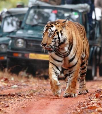 Luxury Taj Mahal Tour